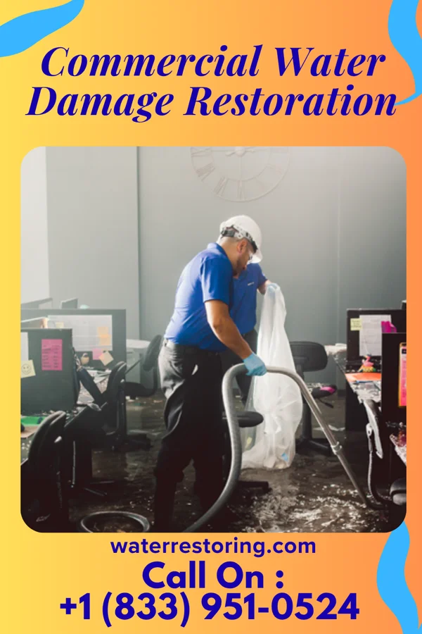 Commercial Water Damage Restoration in Blunt, SD
