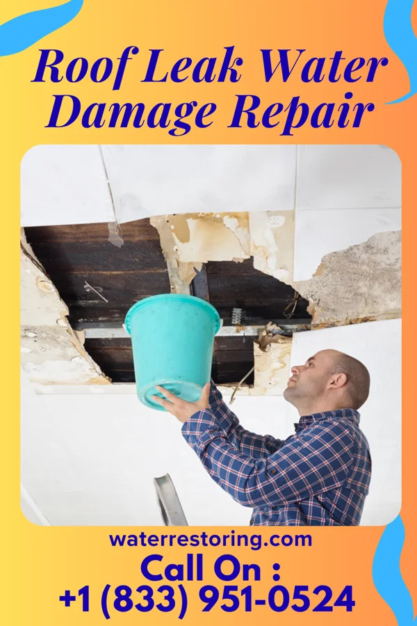 Roof Leak Water Damage Repair in Blunt, SD