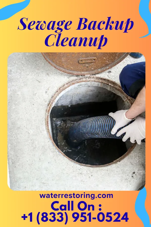 Sewage Backup Cleanup in Blunt, SD